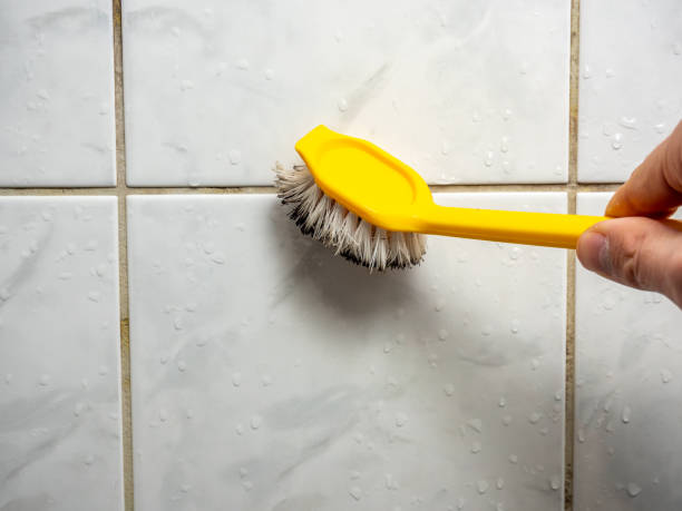 Best Mold Remediation  in Cochituate, MA